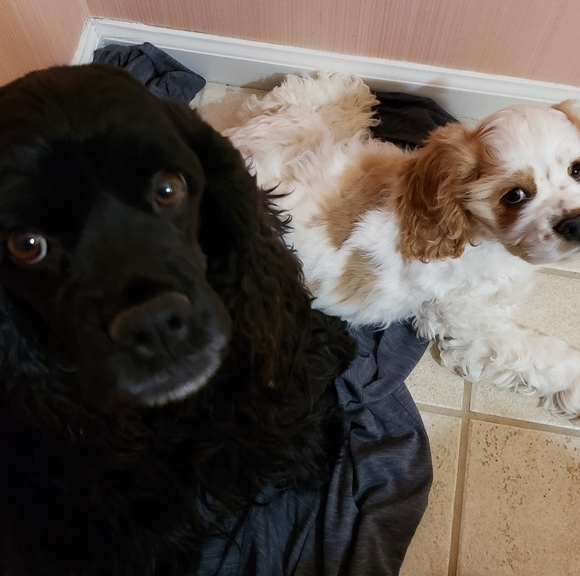 Meet your Posher, Alexandra - Picture 11 of 13